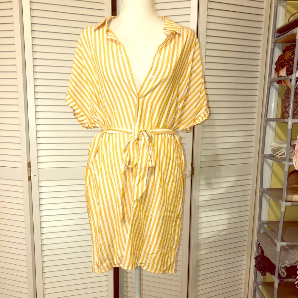 Forever 21 striped button down dress